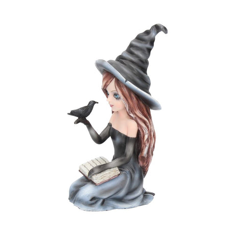 Regan Witch & Her Raven Figurine 15cm: 3 - Figurines Medium (15-29cm) By Gift Moments