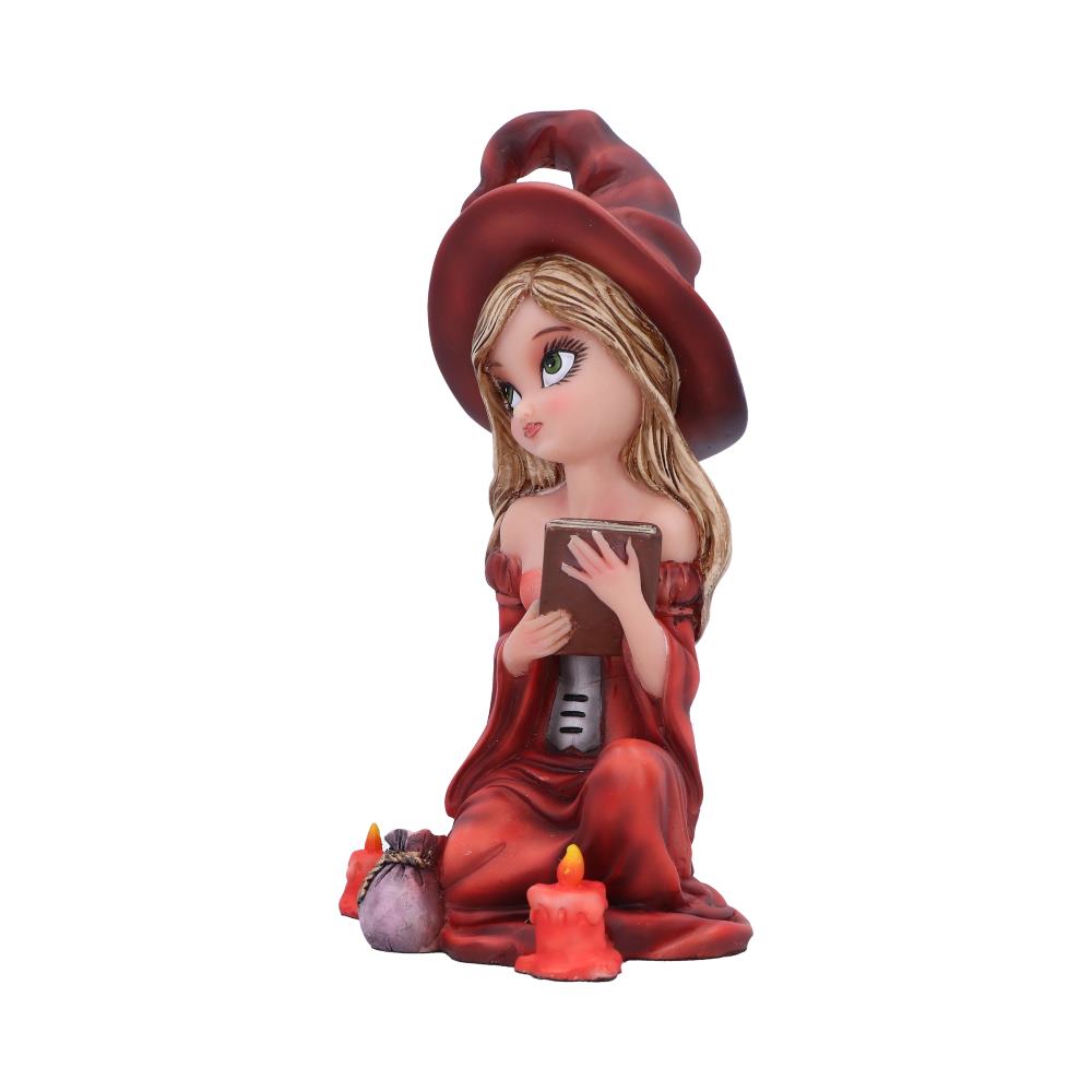 Rina Witch Figurine 15cm: 3 - Figures & Collectables By Gift Moments