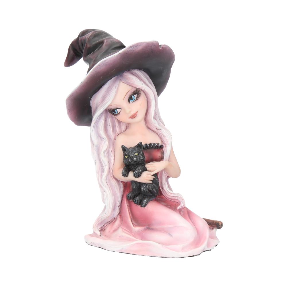 Rosa Figurine Witch Black Cat Ornament: 2 - Figurines Medium (15-29cm) By Gift Moments