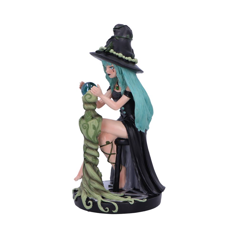 Sage Witch Figurine from Sugar & Spice: 3 - Figures & Collectables By NN Designs