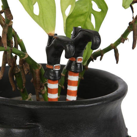 Set of 2 Witch Leg Plant Pot Ornaments: 1 - Garden Ornaments By Gift Moments