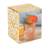 Small Terracotta Single Bee Motif Plant Pot: 3 - Pots & Planters By Gift Moments