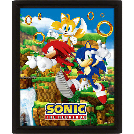 Sonic The Hedgehog 3D Framed Picture: 3 - Wall Art By Sonic The Hedgehog