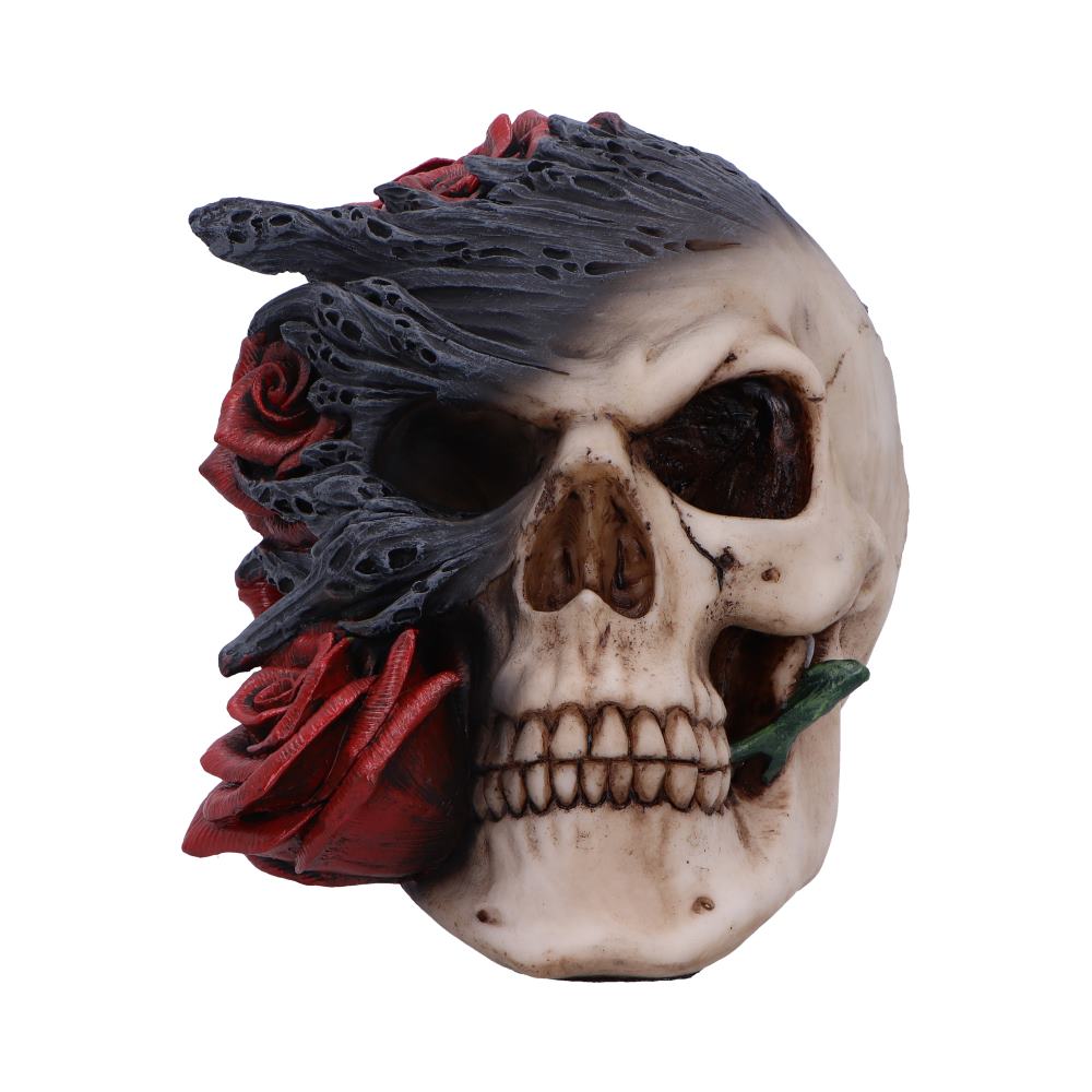 Soul Rose Ornamental Skull: 3 - Figurines Medium (15-29cm) By NN Designs