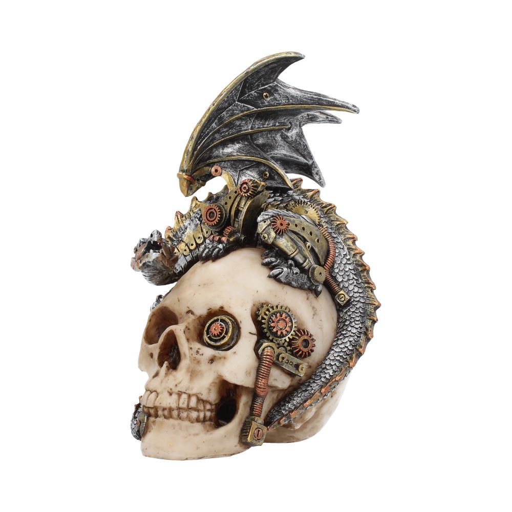 Steel Wing Steampunk Dragon Skull 21cm: 2 - Figures & Collectables By Gift Moments