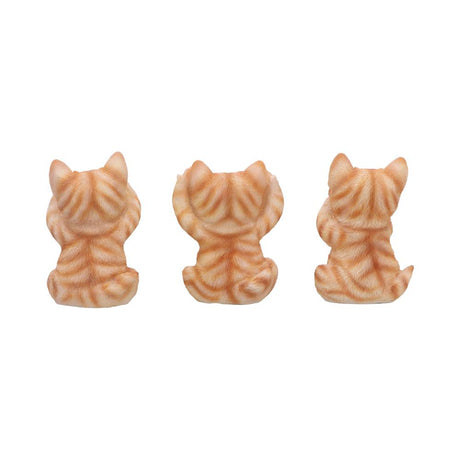 Three Wise Ginger Cats Figurines (Set of 3) See No Hear No Speak No Cats: 4 - Figurines Small (Under 15cm) By NN Designs