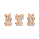 Three Wise Ginger Cats Figurines (Set of 3) See No Hear No Speak No Cats: 2 - Figurines Small (Under 15cm) By NN Designs