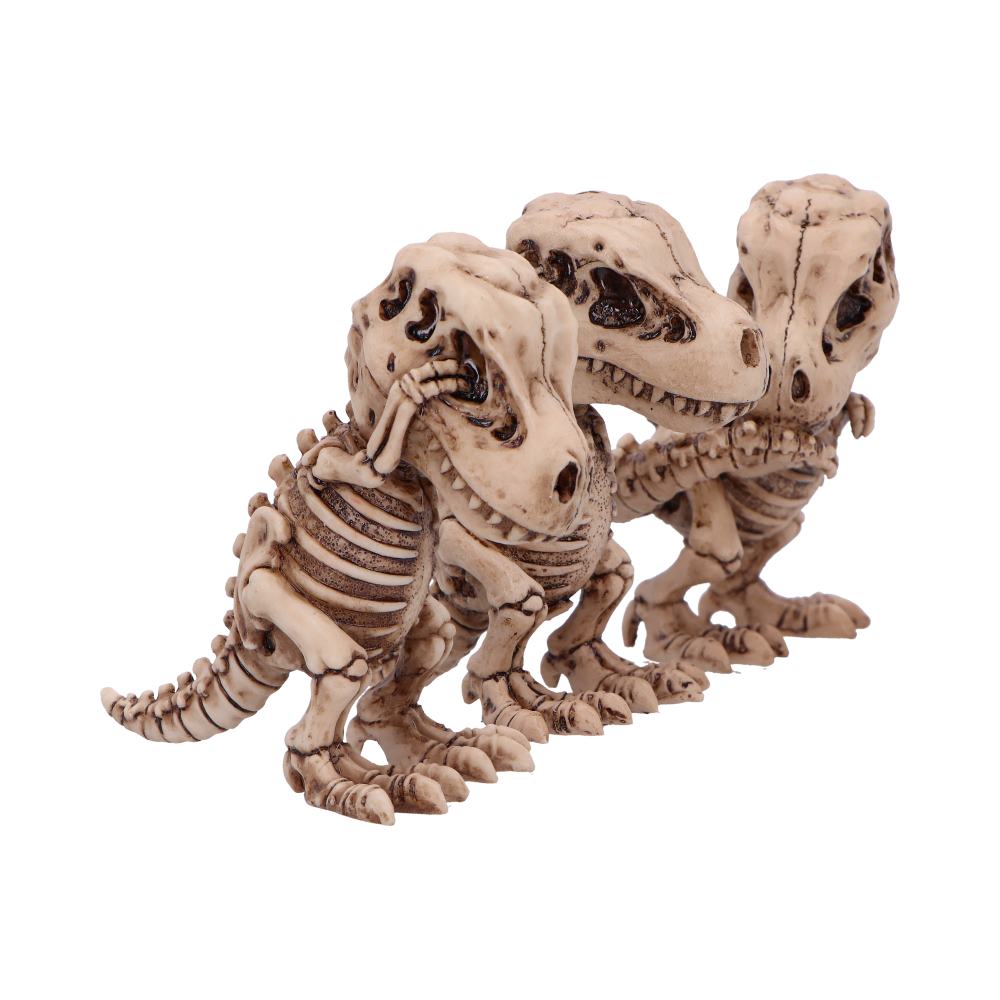 Three Wise Tyrannosaurus Rex Skeleton Figurines: 5 - Figurines Small (Under 15cm) By NN Designs