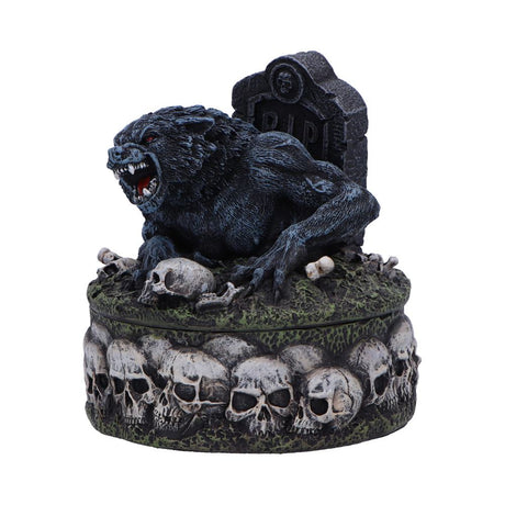 Treasures of the Lycan Dark Werewolf Figurine: 3 - Boxes By Gift Moments