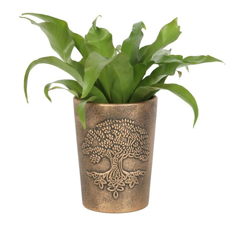 Tree of Life Bronze Terracotta Plant Pot by Lisa Parker: 2 - Pots & Planters By Gift Moments