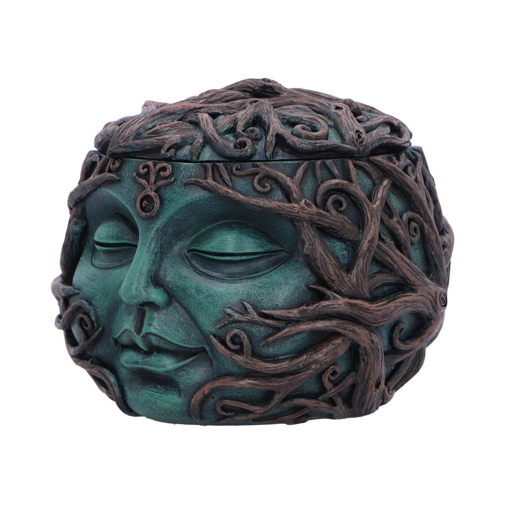 Tree Spirit Head Treasure Box 13cm: 3 - Boxes By Gift Moments