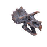 Triceratops Dinosaur Skull 23cm: 2 - Wall Hanging Sculptures By Gift Moments