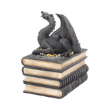 Secrets of the Dragon Box Gothic Skull Books Trinket Box - Boxes at Gift Moments