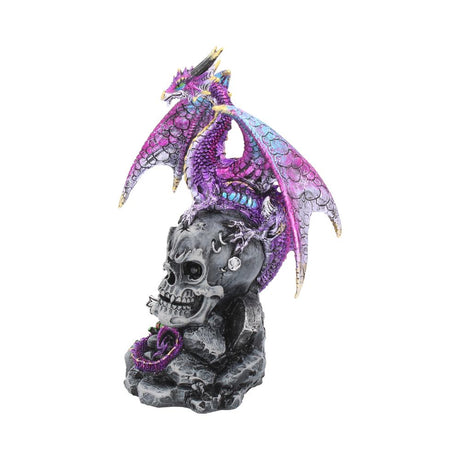 Loyal Defender Figurine Fantasy Gothic Dragon and Skull Ornament - Figures & Collectables at Gift Moments