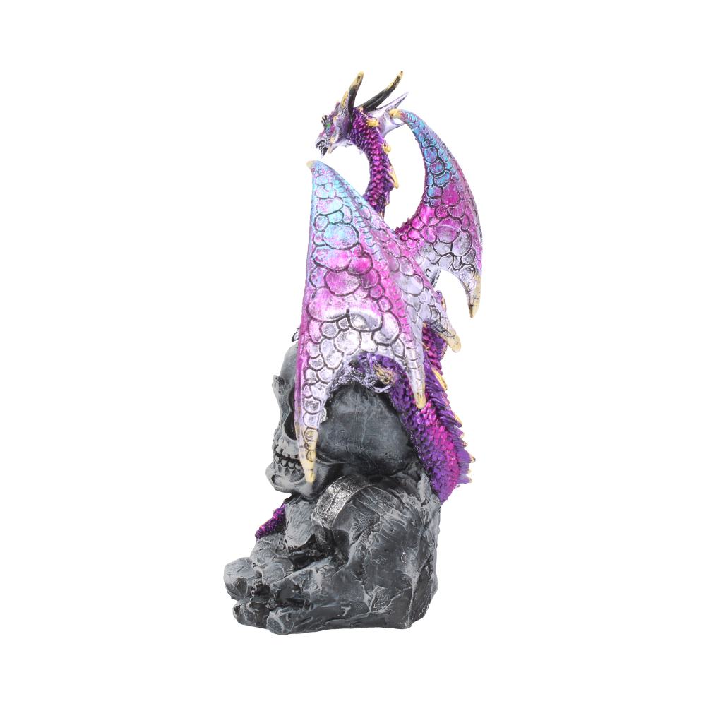 Loyal Defender Figurine Fantasy Gothic Dragon and Skull Ornament - Figures & Collectables at Gift Moments