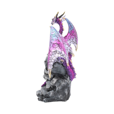 Loyal Defender Figurine Fantasy Gothic Dragon and Skull Ornament - Figures & Collectables at Gift Moments