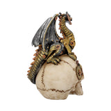 Dragon's Grasp Steampunk Skull and Dragon 18.5cm - Figures & Collectables at Gift Moments