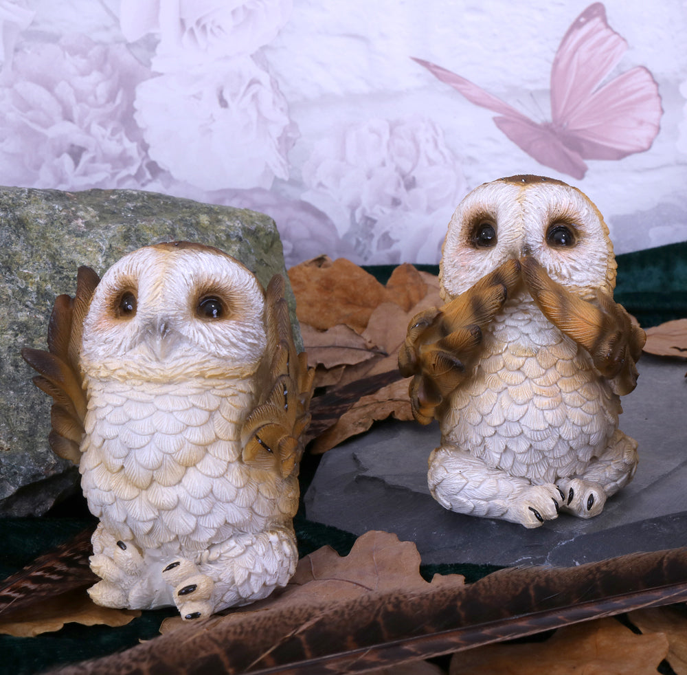 Three Wise Brown Owls 7.5cm - Figures & Collectables at Gift Moments