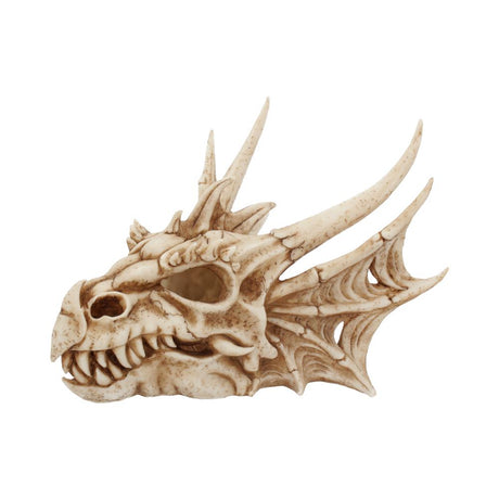 Lumo Luminescent Light Up Dragon Skull - Figures & Collectables at Gift Moments