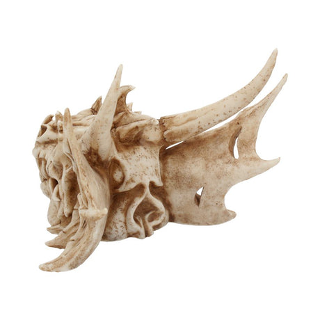 Lumo Luminescent Light Up Dragon Skull - Figures & Collectables at Gift Moments