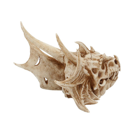 Lumo Luminescent Light Up Dragon Skull - Figures & Collectables at Gift Moments