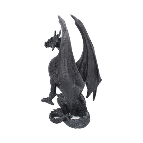 Black Wing Dragon Figure 37cm - Figures & Collectables at Gift Moments