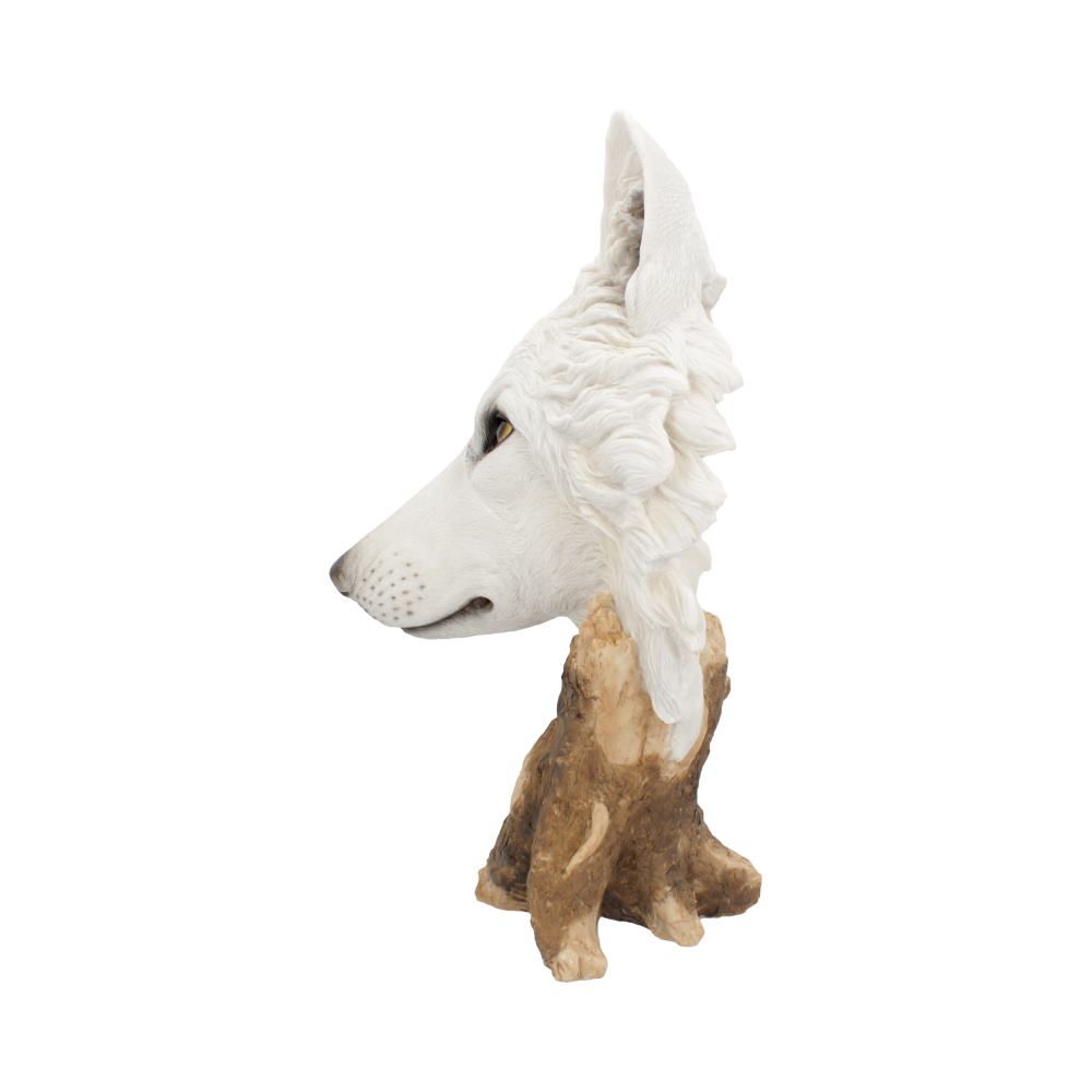 Wild Winter White Wolf Bust 27.5cm - Figures & Collectables at Gift Moments