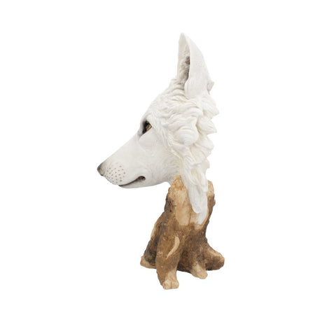 Wild Winter White Wolf Bust 27.5cm - Figures & Collectables at Gift Moments