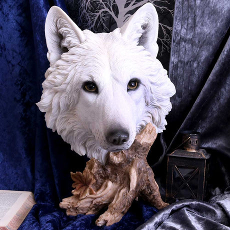 Wild Winter White Wolf Bust 27.5cm - Figures & Collectables at Gift Moments