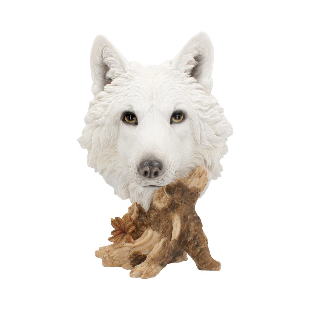 Wild Winter White Wolf Bust 27.5cm Default Title - Figures & Collectables at Gift Moments