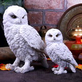 Snowy Watch Large White Owl Ornament - Figures & Collectables at Gift Moments