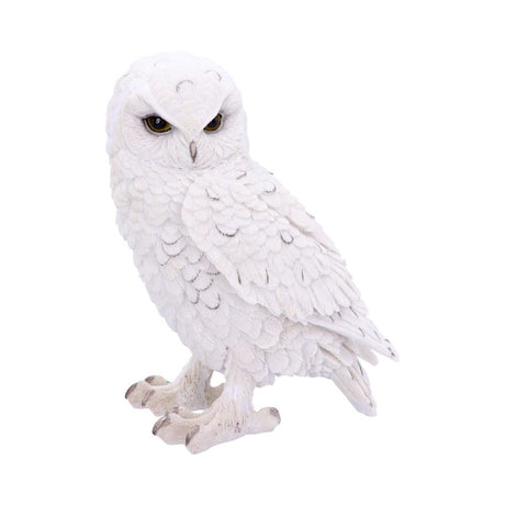 Snowy Watch Large White Owl Ornament Default Title - Figures & Collectables at Gift Moments