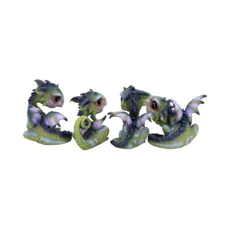 Curious Hatchlings Small Set of Four Dragon Infant Ornaments - Figures & Collectables at Gift Moments