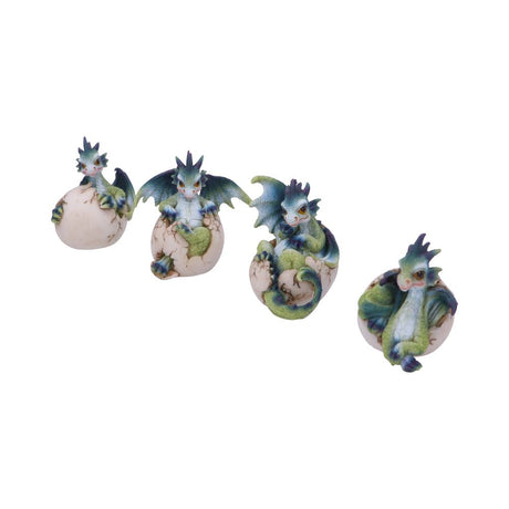 Set of Four Hatchlings Emergence Dragonling Hatching from Egg Figurine - Figures & Collectables at Gift Moments