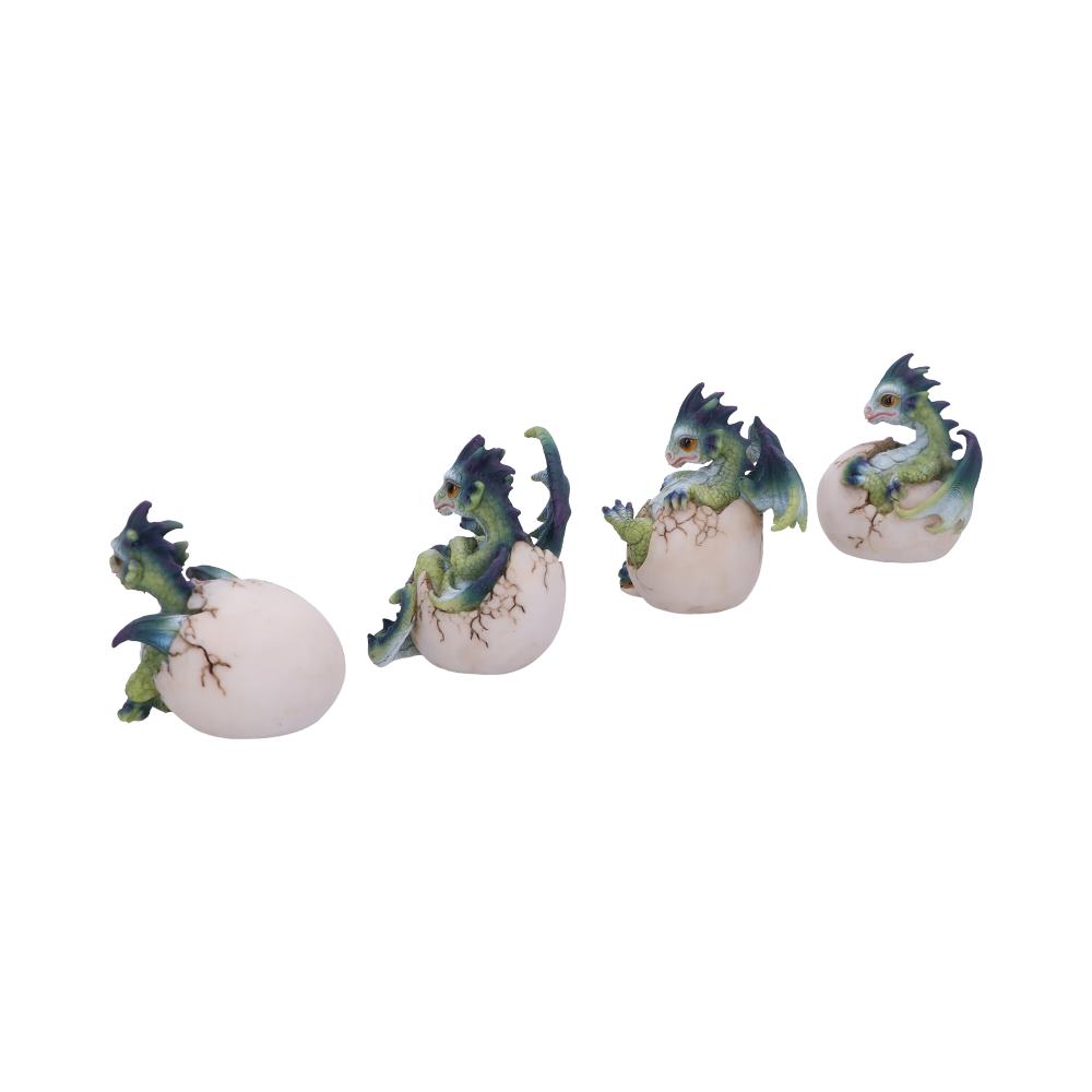 Set of Four Hatchlings Emergence Dragonling Hatching from Egg Figurine - Figures & Collectables at Gift Moments