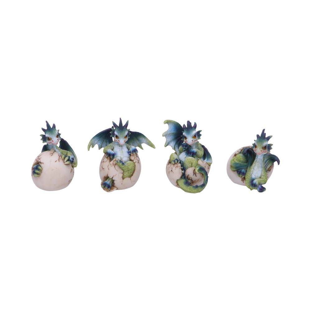 Set of Four Hatchlings Emergence Dragonling Hatching from Egg Figurine Default Title - Figures & Collectables at Gift Moments