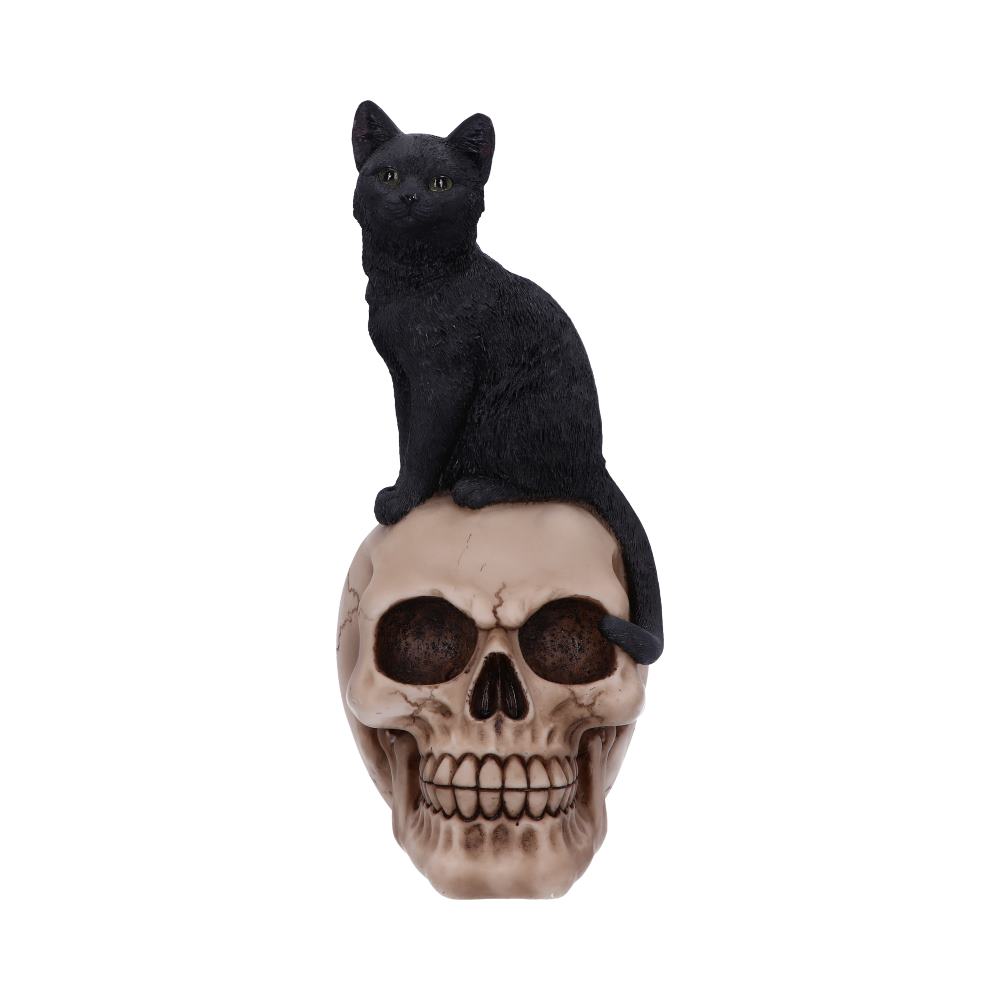 Familiar Fate 24.3cm Black Witches Cat and Skull Figurine - Figures & Collectables at Gift Moments