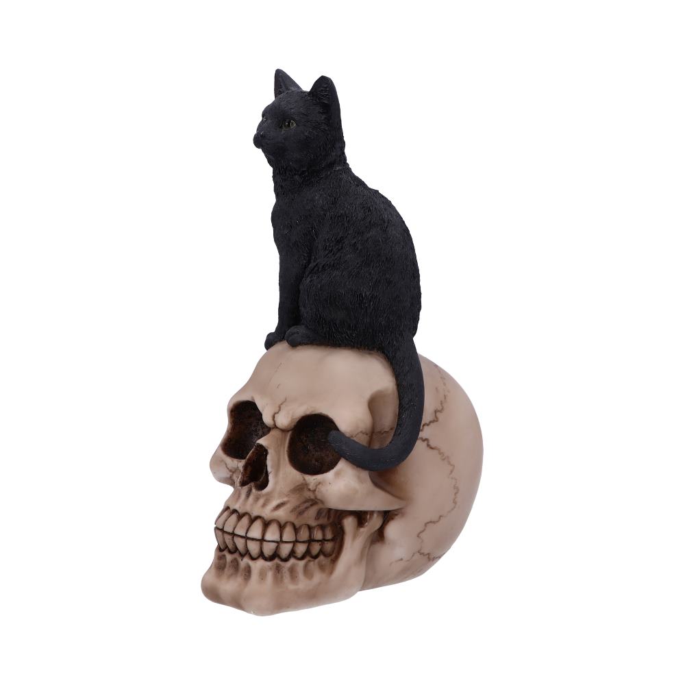 Familiar Fate 24.3cm Black Witches Cat and Skull Figurine - Figures & Collectables at Gift Moments