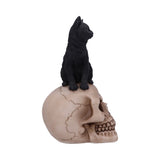 Familiar Fate 24.3cm Black Witches Cat and Skull Figurine - Figures & Collectables at Gift Moments