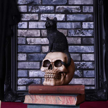 Familiar Fate 24.3cm Black Witches Cat and Skull Figurine - Figures & Collectables at Gift Moments