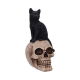 Familiar Fate 24.3cm Black Witches Cat and Skull Figurine Default Title - Figures & Collectables at Gift Moments