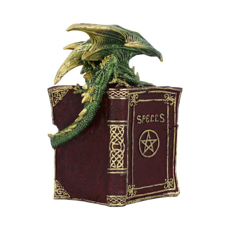 Hoard Finders Dragon with Book Crystal Figurine - Figures & Collectables at Gift Moments