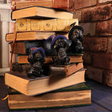 Three Wise Familiars See No Hear No Speak No Evil Black Cats Figurine - Figures & Collectables at Gift Moments