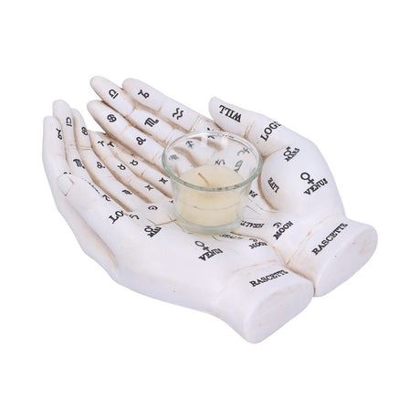 Palmist's Guide White Chiromancy Hands Candle Holder - Candles & Holders at Gift Moments