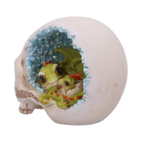 Celtic Cave Skull 15cm - Figures & Collectables at Gift Moments