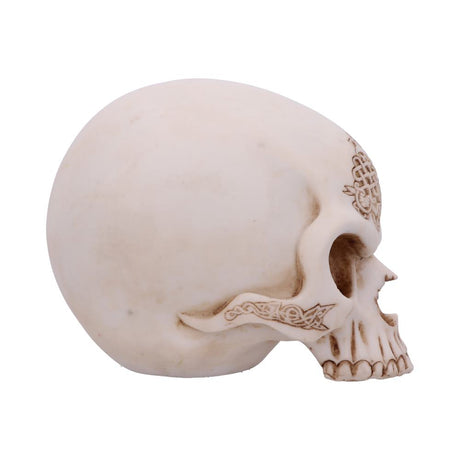 Celtic Cave Skull 15cm - Figures & Collectables at Gift Moments