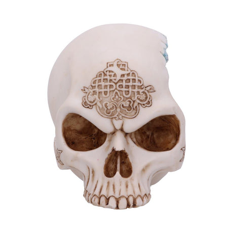 Celtic Cave Skull 15cm - Figures & Collectables at Gift Moments