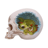 Celtic Cave Skull 15cm Default Title - Figures & Collectables at Gift Moments