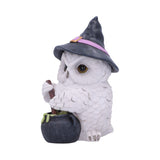 Owl Potion Figurine 17.5cm - Figures & Collectables at Gift Moments