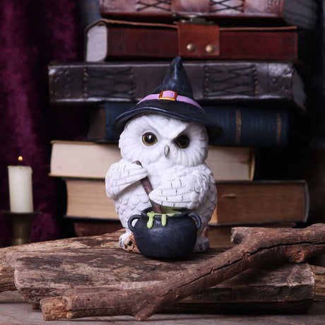 Owl Potion Figurine 17.5cm - Figures & Collectables at Gift Moments